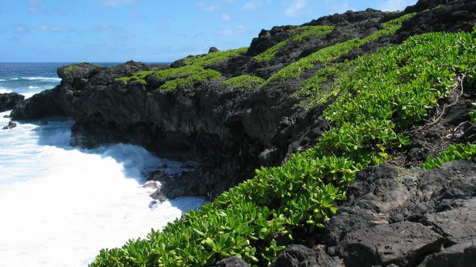 Kipahulu_coast
