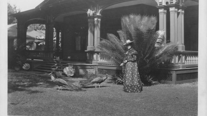 Kaiulani_feeding_peacocks_at_Ainahau_(PP-96-8-007) (1)