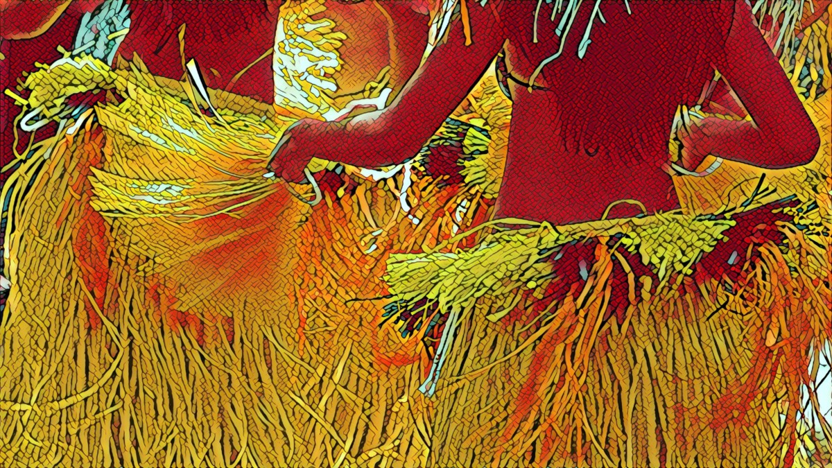 フラダンスとタヒチアンダンスの違いをちゃんと知りたい！ ⋆ MUSBIC