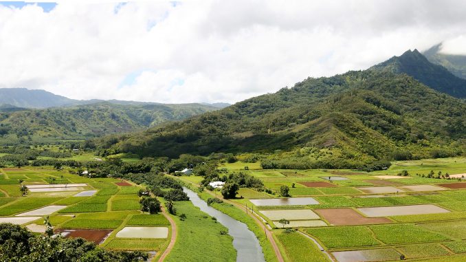 Hanalei Valley