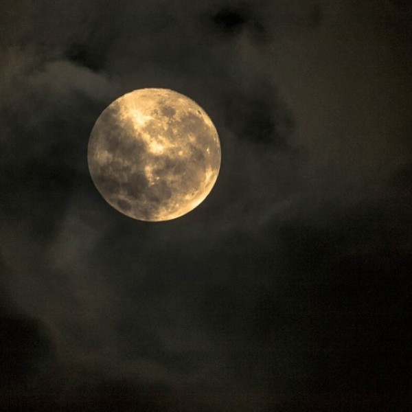 夜半の月 紫式部 百人一首