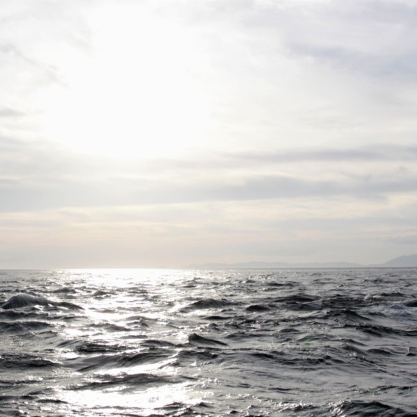 小野篁　百人一首　競技かるた