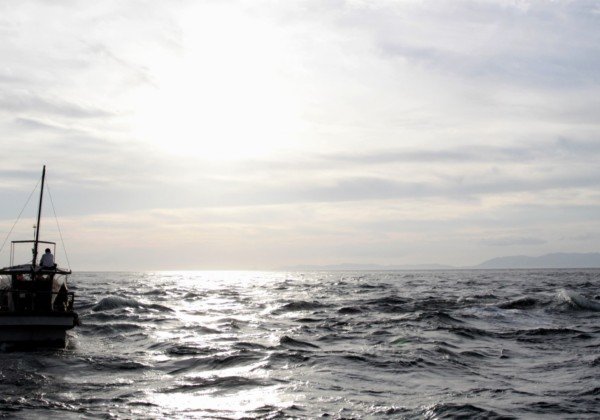 小野篁　百人一首　競技かるた