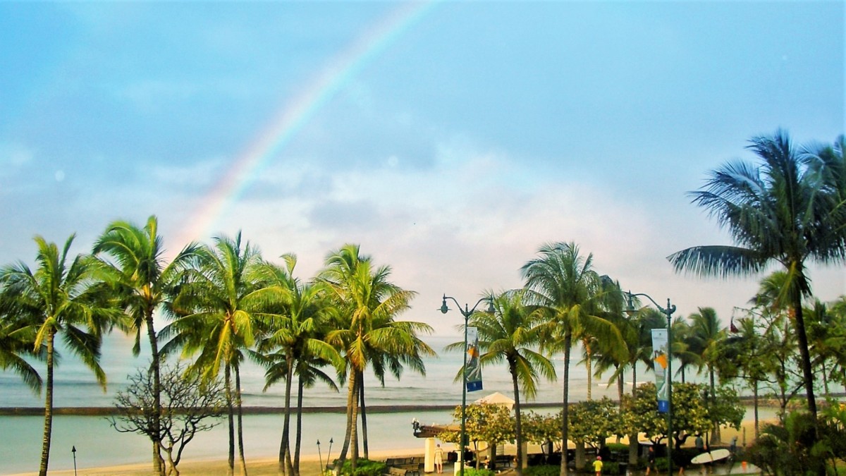 最高のコレクション ハワイ 虹 画像 人気のhd壁紙
