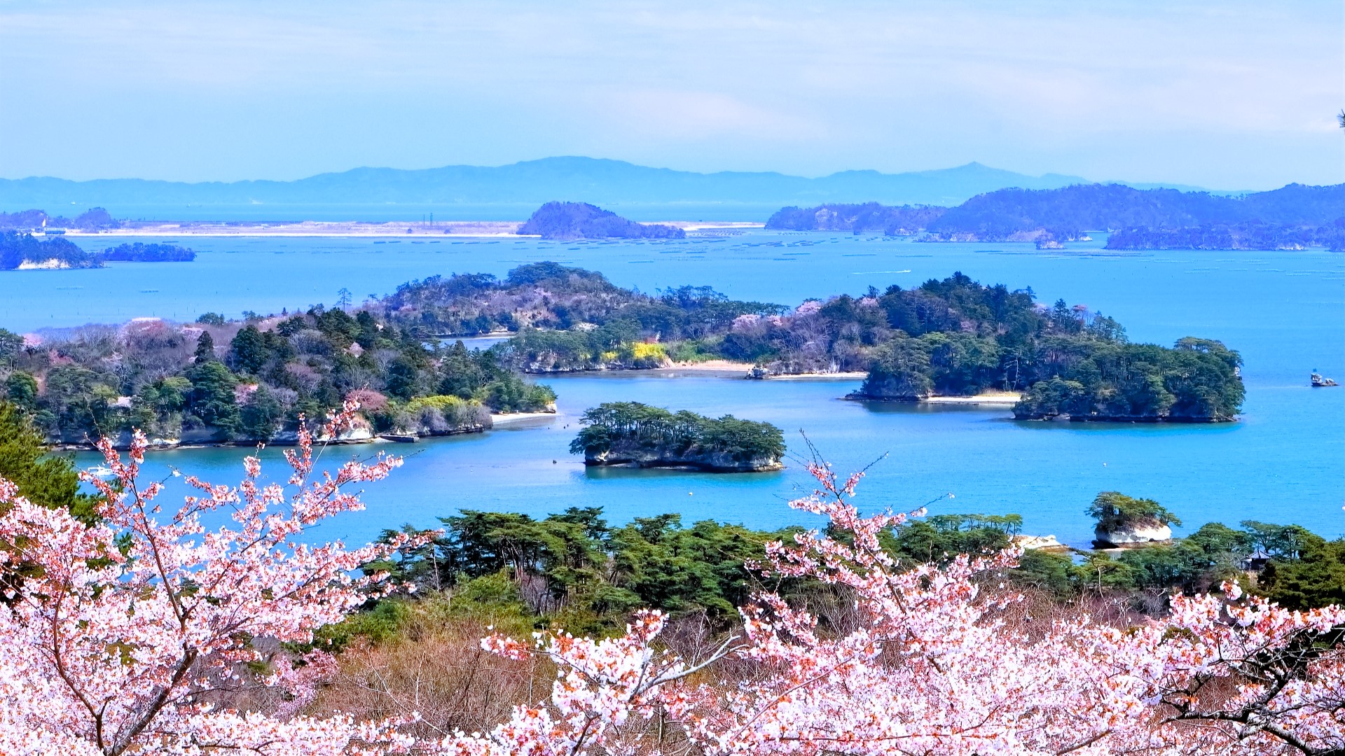 松島　西行戻しの松公園