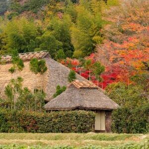 恵慶法師　百人一首