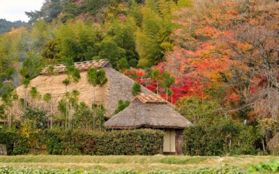 百人一首かるたの歌人エピソード第47番・恵慶法師(えぎょうほうし)～もの悲しい秋の風情はこうして生まれた！