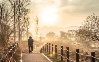百人一首かるたの歌人エピソード第84番・藤原清輔朝臣~父との確執も時が流れれば良き思い出に!