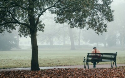 百人一首かるたの歌人エピソード第91番・後京極摂政前太政大臣~ことばを越えて五感に響く、亡き妻への切ない想い